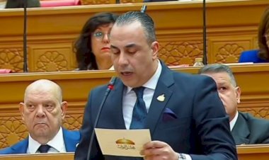 برلماني: توطين صناعة الدواء يعزز قوة الاقتصاد المصري ويقلل فاتورة الاستيراد