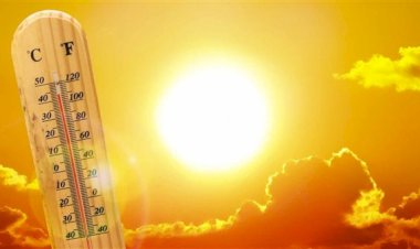 الطقس غدُا.. شبورة ورطوبة وأجواء حارة نهارا والعظمى بالقاهرة 35