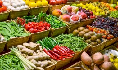 الزراعة تكشف سر نجاح المنتجات المصرية في غزو الأسواق العالمية