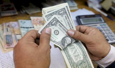 أسعار الدولار في مصر اليوم الأحد