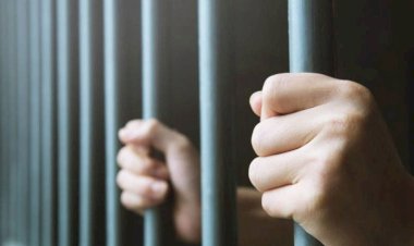 إحالة أوراق شقيقين متهمين بقتل شخص بسبب خصومة ثأرية فى سوهاج للمفتى