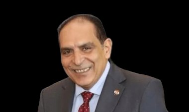    رئيس لجنة الجمارك: مصر مؤهلة لتصبح البوابة اللوجستية لأفريقيا