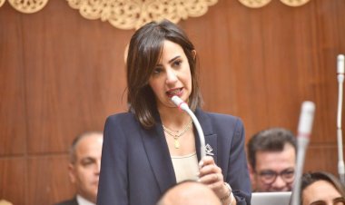عضو بخارجية الشيوخ: لقاء الرئيس السيسي وترامب يعكس الثقل السياسى لمصر