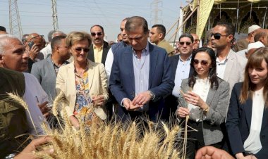 "الزراعة" في ذكرى 30 يونيو.. طفرة تاريخية ونقلة نوعية في قطاع الزراعة والأمن الغذائي