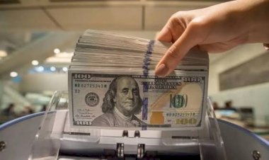 أسعار الدولار في مصر اليوم الأحد