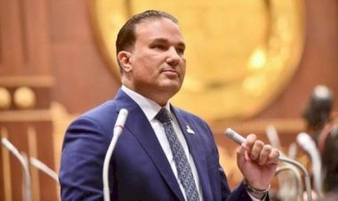 برلماني: الشراكات المصرية العربية تؤكد قوة الاقتصاد الوطني وقدرته على جذب الاستثمارات