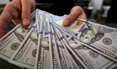 أسعار الدولار في مصر اليوم الإثنين