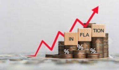 برلمانية: مؤشرات الاقتصاد تؤكد نجاح الدولة في استعادة ثقة المستثمرين