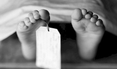 مصرع طفلة صدمتها سيارة يقودها طالب في الجيزة
