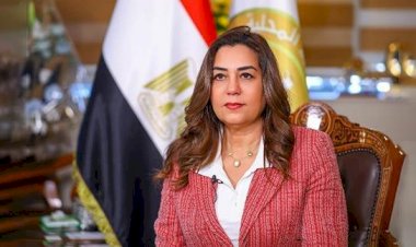وزيرة التنمية تتابع الآثار البيئية الناتجة عن حادث غرق صندل بميناء السد العالي شرق بأسوان
