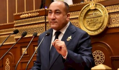 برلمانى: 30 يونيو حكاية وطن انتصر بإرداة شعبية خالصة وقائد شجاع وجيش وطنى