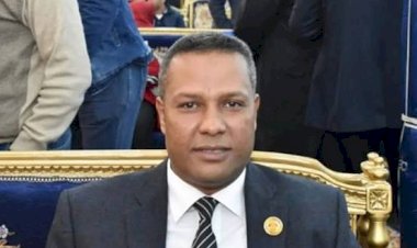 برلماني: ثورة 30 يونيو أنقذت مصر من الفوضى ومهدت لبناء دولة قوية حديثة