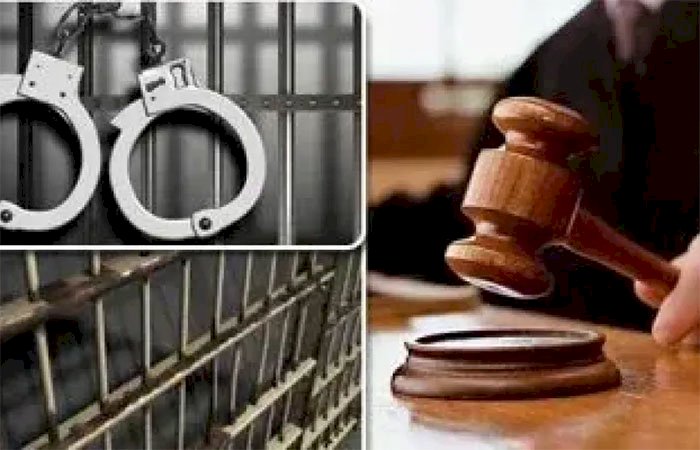 باعوا  السيارات بمستندات مزيفة.. تأجيل محاكمة «مافيا التوكيلات المزورة» لـ 10 يونيو                   