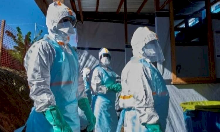 منظمة الصحة العالمية.. 500 إصابة مؤكدة بفيروس «إيبولا» في وسط أفريقيا