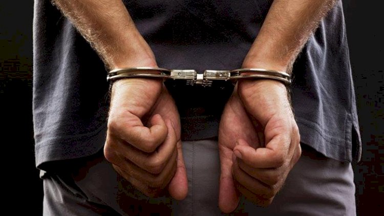 ضبط شخص استولى على هاتفيين من سيدة مقيمة بالخارج