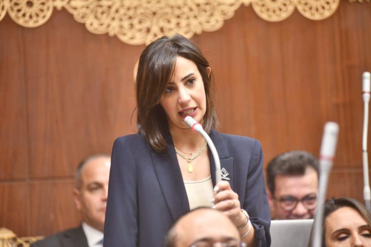 عضو بخارجية الشيوخ: لقاء الرئيس السيسي وترامب يعكس الثقل السياسى لمصر