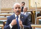 برلماني: الإنجاز التاريخي لميناء دمياط يؤكد نجاح خطة تطوير الموانئ المصرية