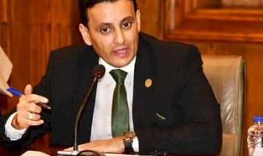 نائب بالشيوخ: ضبط النمو السكاني شرط لتحويل ثمار التنمية إلى واقع يشعر به المواطن