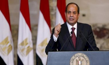 دور الرئيس السيسي في صياغة السياسة الخارجية لمصر حتى 2025.. فيديو