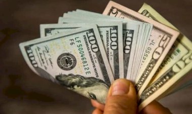 أسعار الدولار في مصر اليوم الجمعة