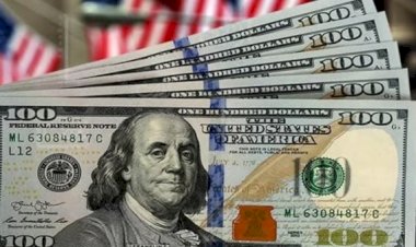 أسعار الدولار في مصر اليوم الجمعة