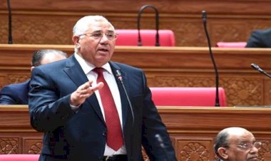 رئيس زراعة النواب: افتتاح الأوكتاجون يؤكد قوة مصر ورؤيتها لبناء المستقبل