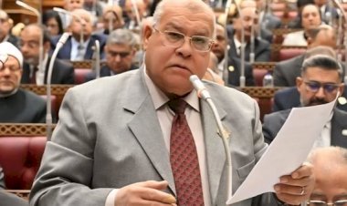 نائب: هناك اتجاه لدعم الصناعة الوطنية وفتح آفاق جديدة لتوفير فرص عمل