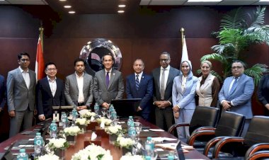الهيئة العامة للاستثمار وإنتربرايز سنغافورة تبحثان تعزيز الاستثمارات المشتركة في مصر