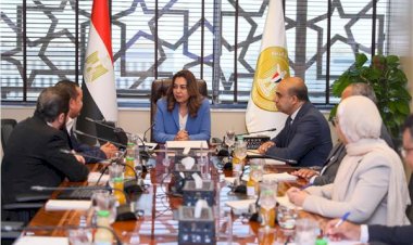 وزيرة التنمية: إنشاء شبكة قومية لجمع الأدوية منتهية الصلاحية