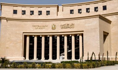 43.1 مليار دولار حصيلة تحويلات المصريين العاملين بالخارج