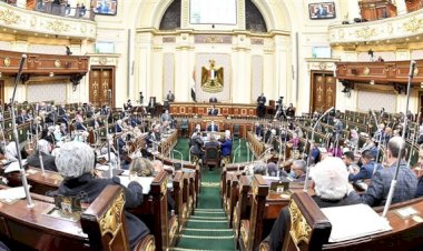من البرلمان للحكومة: تشكيل لجنة لتعظيم عوائد الدولة من الهيئات والوحدات الاقتصادية