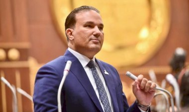 برلماني: تعزيز المخزون الاستراتيجي يؤكد جاهزية الدولة لمواجهة التحديات العالمية