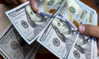 أسعار الدولار في مصر اليوم السبت