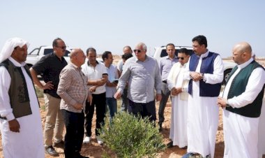 إنشاء مزرعة زيتون كبرى وقف خيري في مطروح