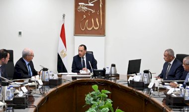 رئيس الوزراء يتابع مستجدات جهود إعادة هيكلة الشركات المملوكة للدولة