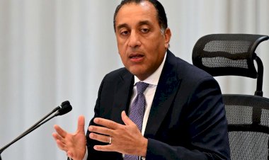 رئيس الوزراء يتابع منظومة التعامل مع ظاهرة الكلاب الضالة
