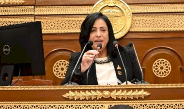 ميرال الهريدى : متابعة الرئيس السيسى لملف التعليم تؤكد أولوية بناء الإنسان