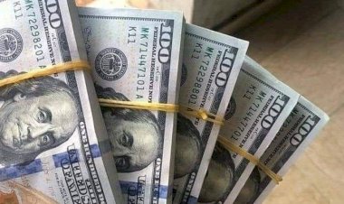 أسعار الدولار في مصر اليوم الثلاثاء