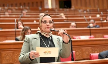 برلمانية: تنظيم "السوشيال ميديا" ضرورة لحماية المجتمع