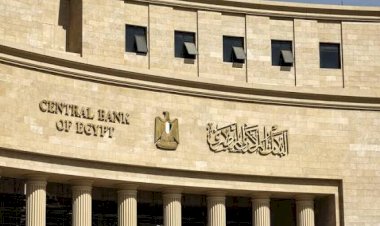 مصر تقود إعداد ونشر أول تقرير للاستقرار المالي على مستوى إفريقيا