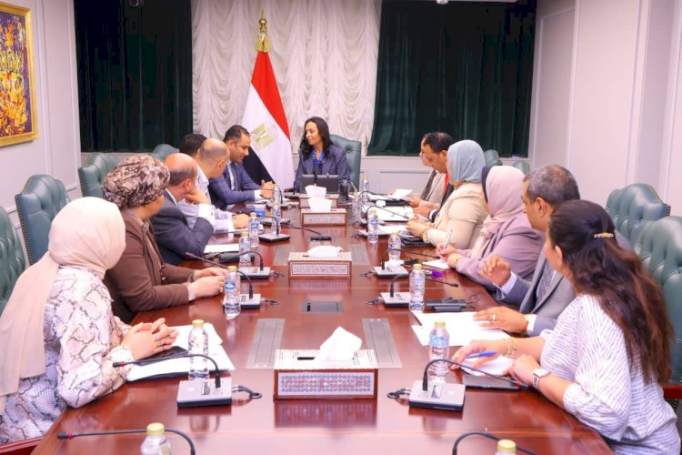 وزيرة التضامن الاجتماعي تلتقي رئيس اللجنة الدينية بمجلس النواب