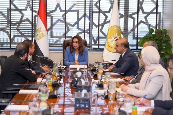 وزيرة التنمية: إنشاء شبكة قومية لجمع الأدوية منتهية الصلاحية