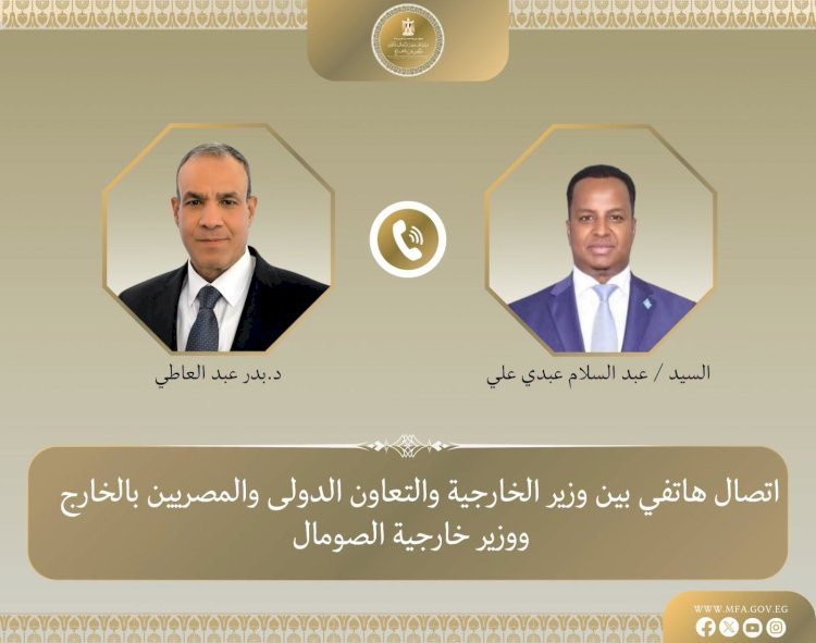 وزير الخارجية يبحث مع نظيره الصومالي العلاقات الثنائية وتطورات الأوضاع في القرن الأفريقي