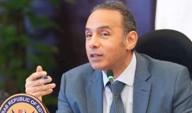 تأمين جديد للمصريين بالخارج يشمل الفصل التعسفي.. وتطبيقه أغسطس المقبل بقسط 400 جنيه