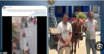 ضبط سائق عربة كارو للسير عكس الاتجاه والتعدى على شخص