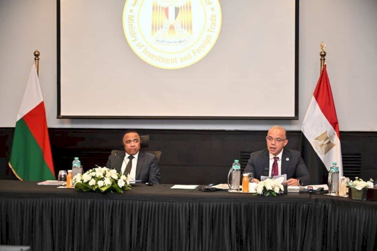 وزير الاستثمار ورئيس مدغشقر يبحثان تعزيز الشراكة الاقتصادية والاستثمارية