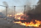 إصابة 14 شخصًا في حريق بمحطة لتعبئة الفاكهة بالشرقية