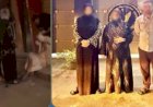 القبض على المتهمين بالتعدى على فتاة ببنى سويف