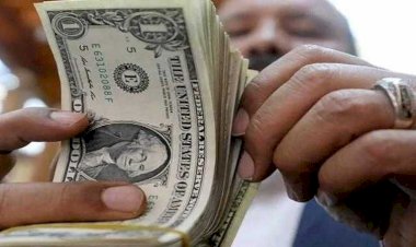 أسعار الدولار في مصر اليوم السبت
