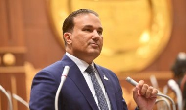 برلماني: اقتصادية قناة السويس تواصل تحقيق إنجازات غير مسبوقة
